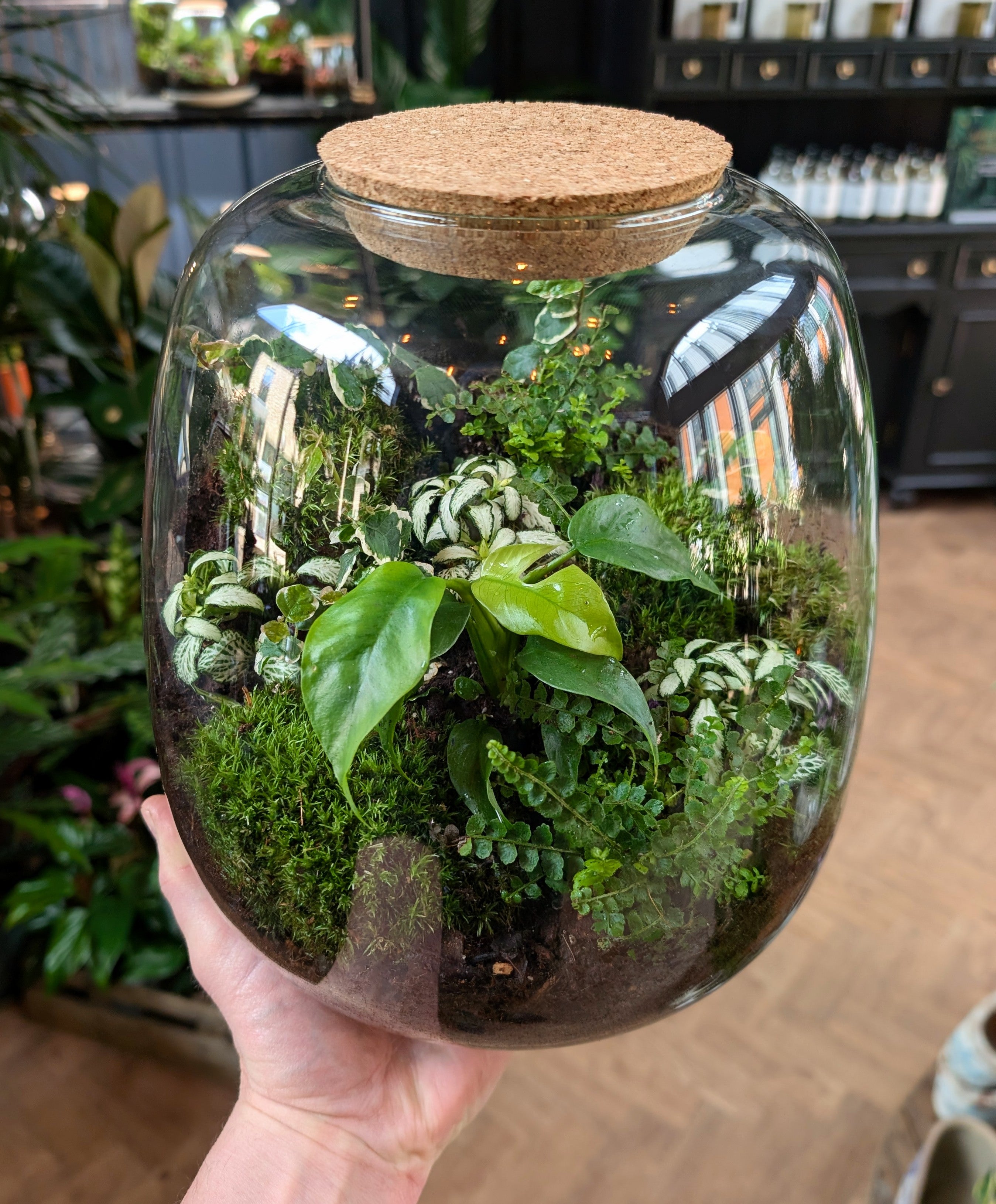 Closed Terrarium Workshop Battersea 19th June 7pm