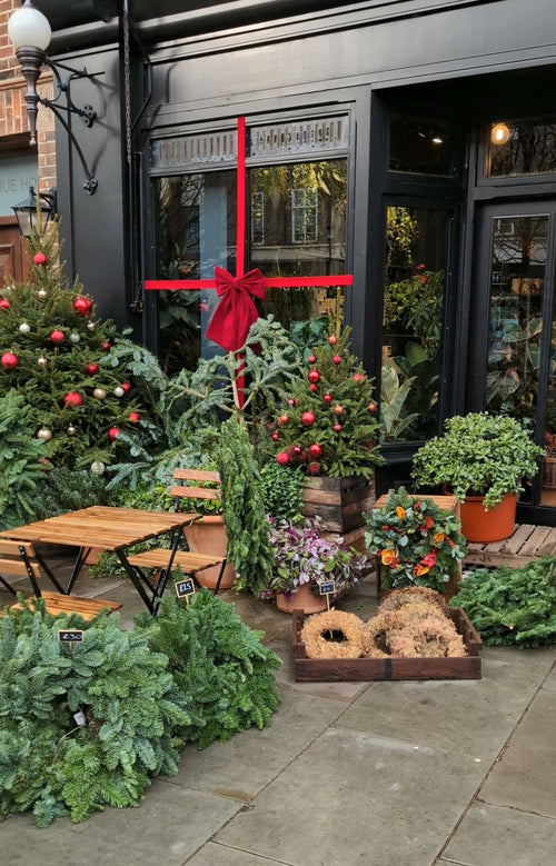 Festive Wreath Workshop - Battersea